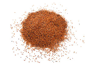Canihua grains